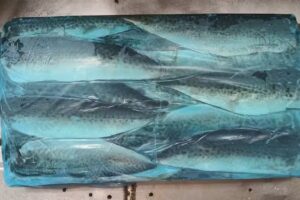 Brumar pescados Y Mariscos