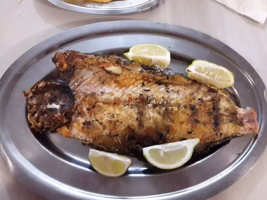 Circulo De Pescadores