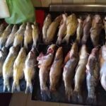 Cooperativa De Pescadores