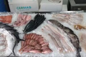 Costa Azul Pescaderia