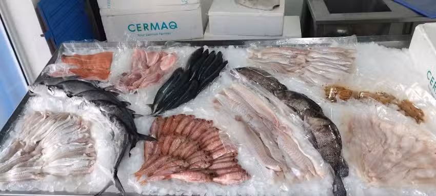 Costa Azul Pescaderia
