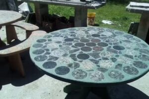 Criadero de carassius.