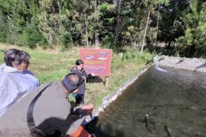 Criadero de truchas arco iris