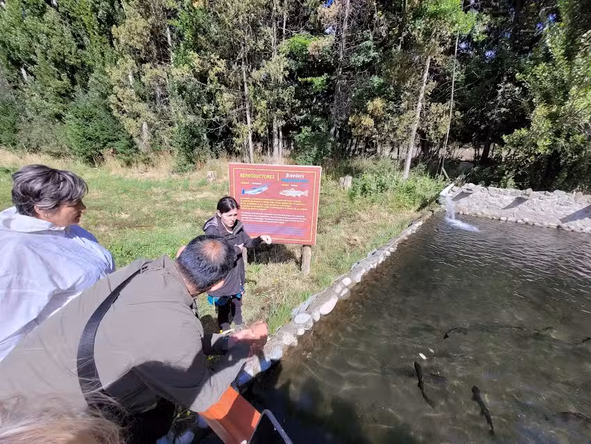 Criadero de truchas arco iris