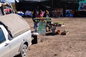 Filetera los viejos pescadores
