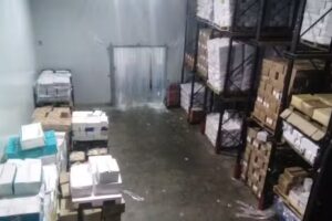 La Boutique del Mar Sa