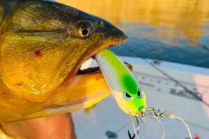 La casa del Pescador