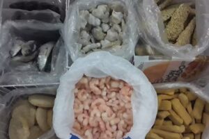 La corvina de cortina pescaderia