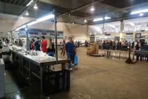 Nave Pescados Mercado Central