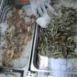 Ondamar Pescader&iacute;a