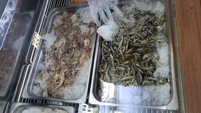 Ondamar Pescader&iacute;a