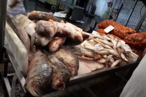 Pabellon De Pescados Y Mariscos, Mercado Central