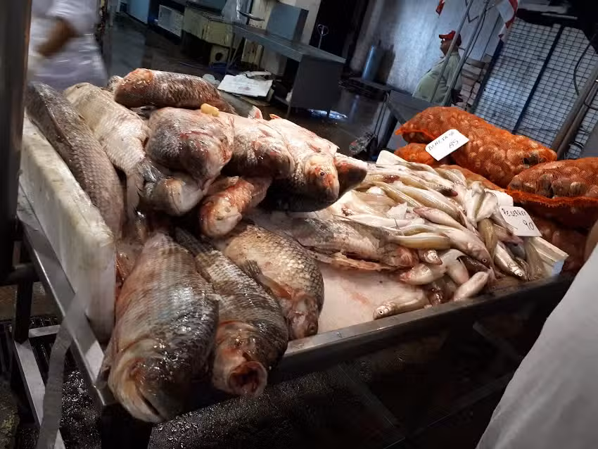 Pabellon De Pescados Y Mariscos, Mercado Central