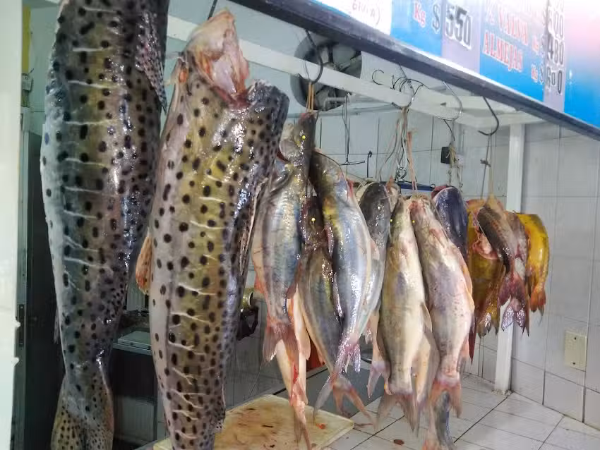 Pescader&iacute;a Alexis