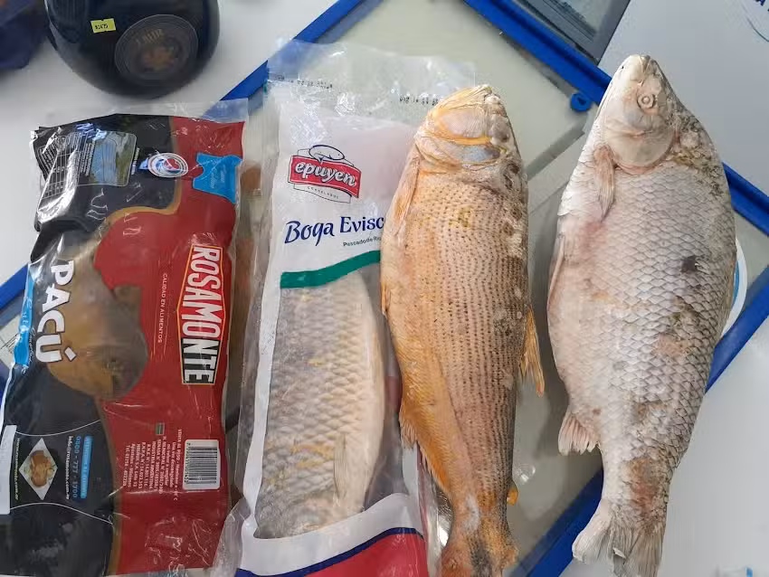 Pescader&iacute;a Avenida