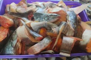 Pescader&iacute;a Benjam&iacute;n