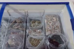 Pescadería de la Patagonia