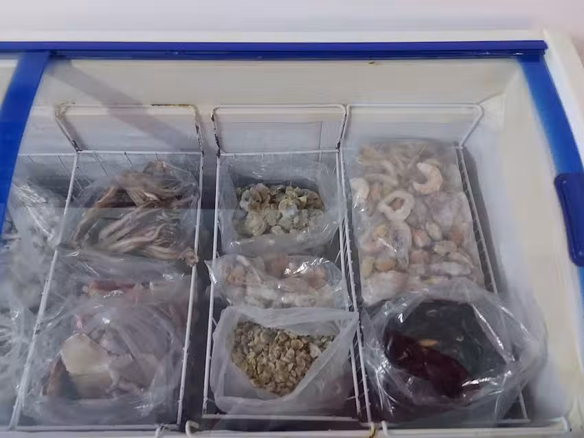 Pescader&iacute;a de la Patagonia