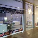 Pescader&iacute;a del mar