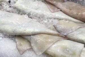 Pescaderia Di Costanzo