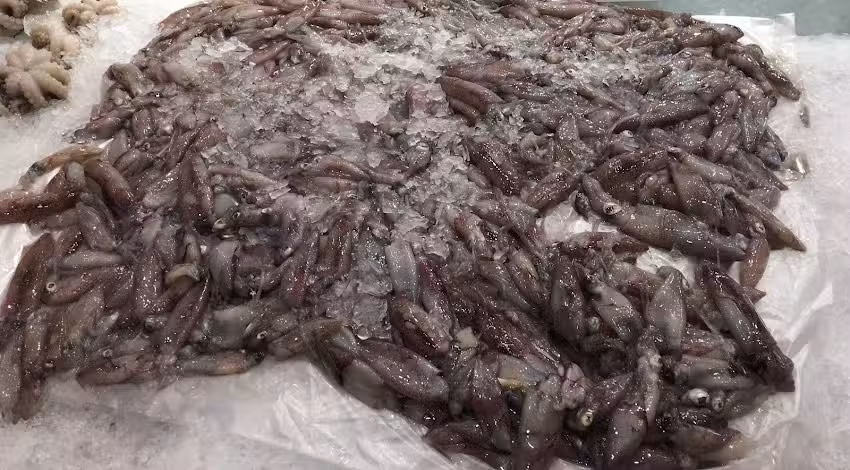 Pescaderia Di Costanzo