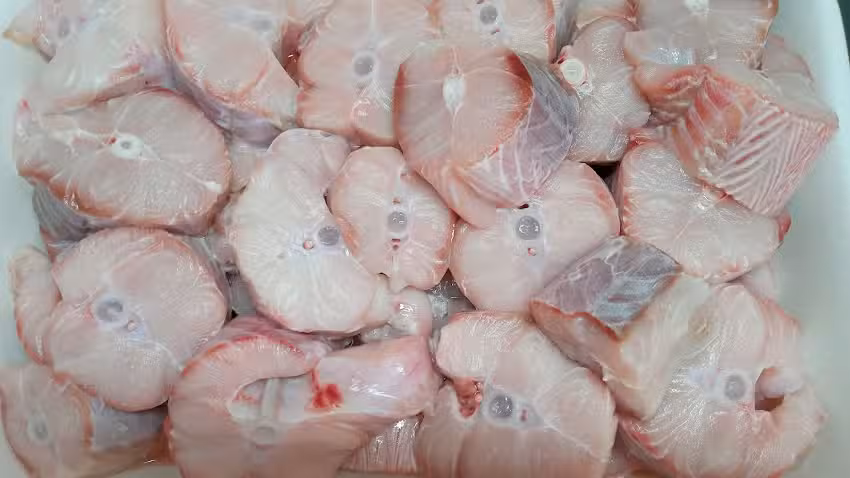 Pescader&iacute;a Diar fish