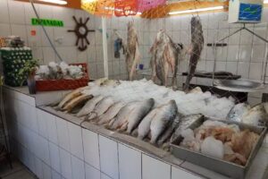 Pescader&iacute;a El Acuario
