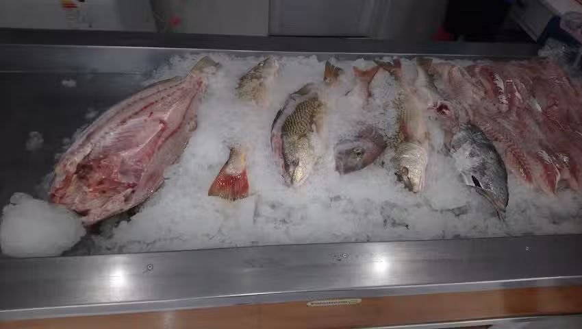 PESCADERIA EL ANCLA