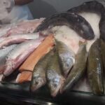Pescaderia el Ancla