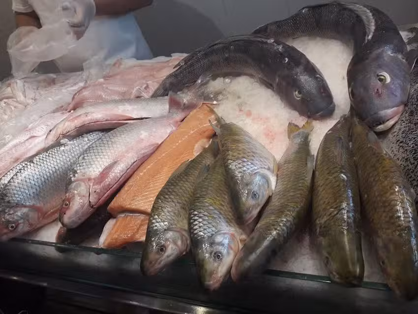 Pescaderia el Ancla