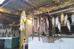 Pescadería El Peluca