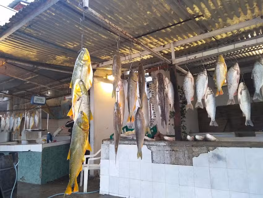 Pescader&iacute;a El Peluca