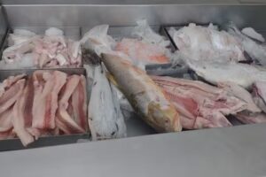 Pescader&iacute;a &ldquo;El Pulpo&rdquo; Tercera Generaci&oacute;n