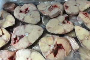 Pescader&iacute;a &ldquo;Establecimiento San Gabriel&rdquo;