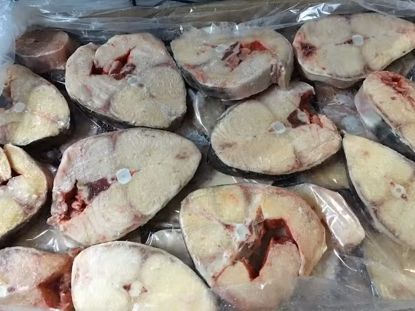 Pescadería “Establecimiento San Gabriel”