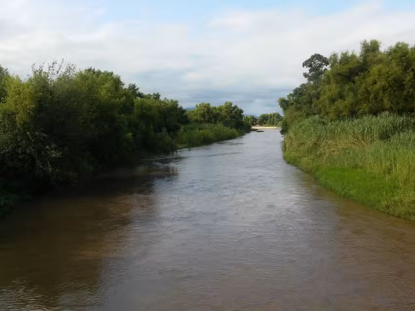 Pescader&iacute;a Gallo