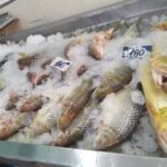 Pescader&iacute;a Gran Paran&aacute;