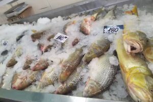 Pescader&iacute;a Gran Paran&aacute;