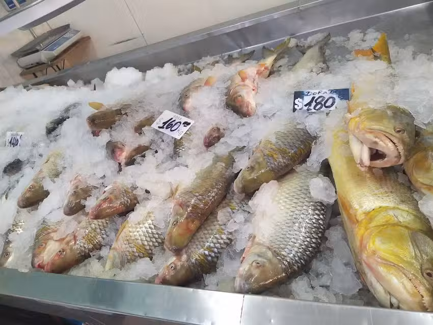 Pescadería Gran Paraná