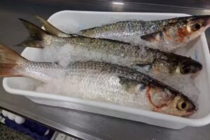 Pescaderia LA FRAGATA