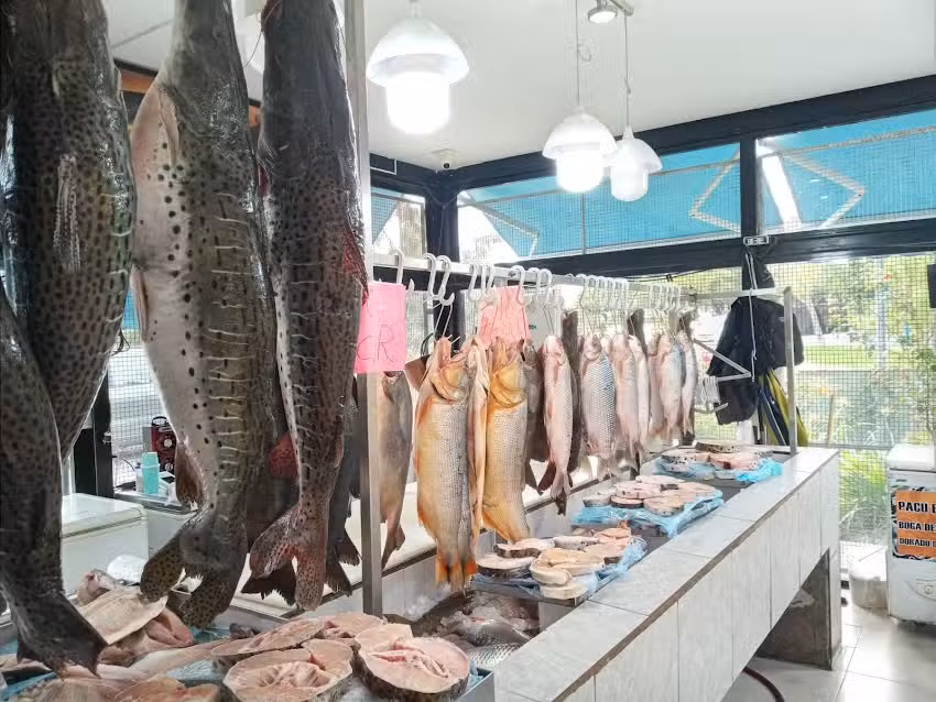 Pescader&iacute;a lo de castro