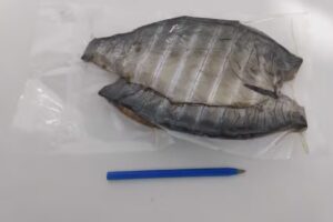 PESCADER&Iacute;A &ldquo;Lo de Lalo&rdquo;