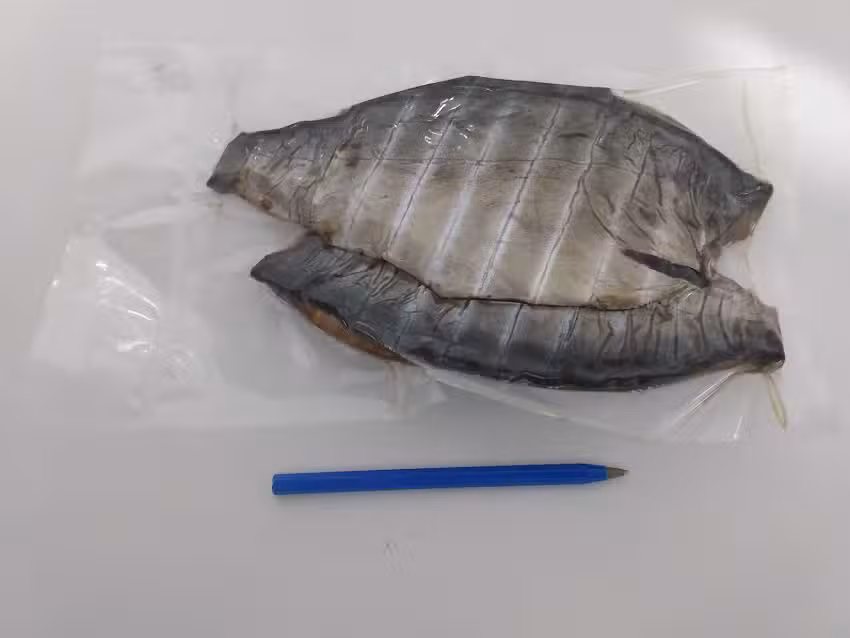 PESCADERÍA “Lo de Lalo”