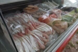 Pescader&iacute;a &ldquo;MARINA GRANDE&rdquo;