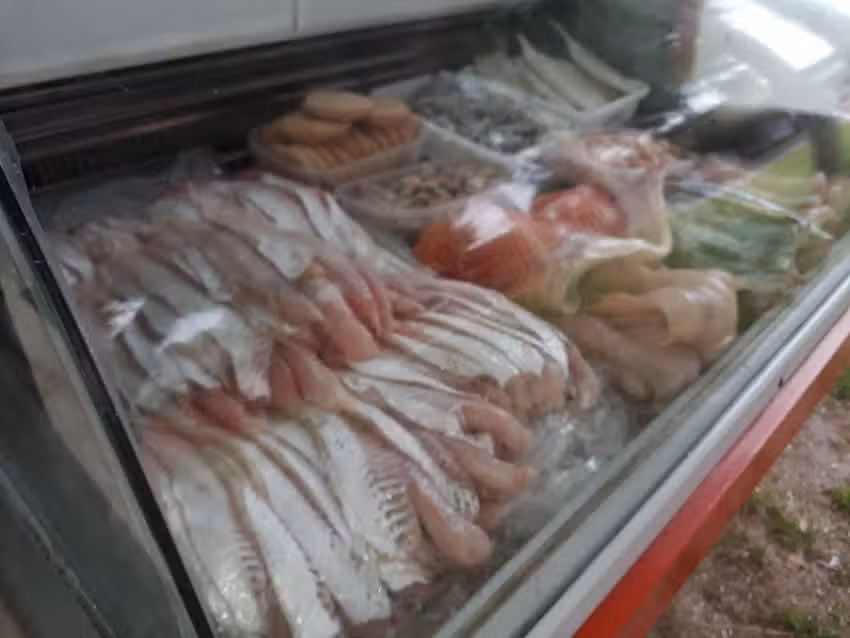 Pescader&iacute;a &ldquo;MARINA GRANDE&rdquo;