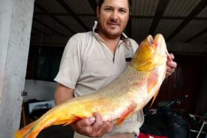 pescaderia martin m pescador