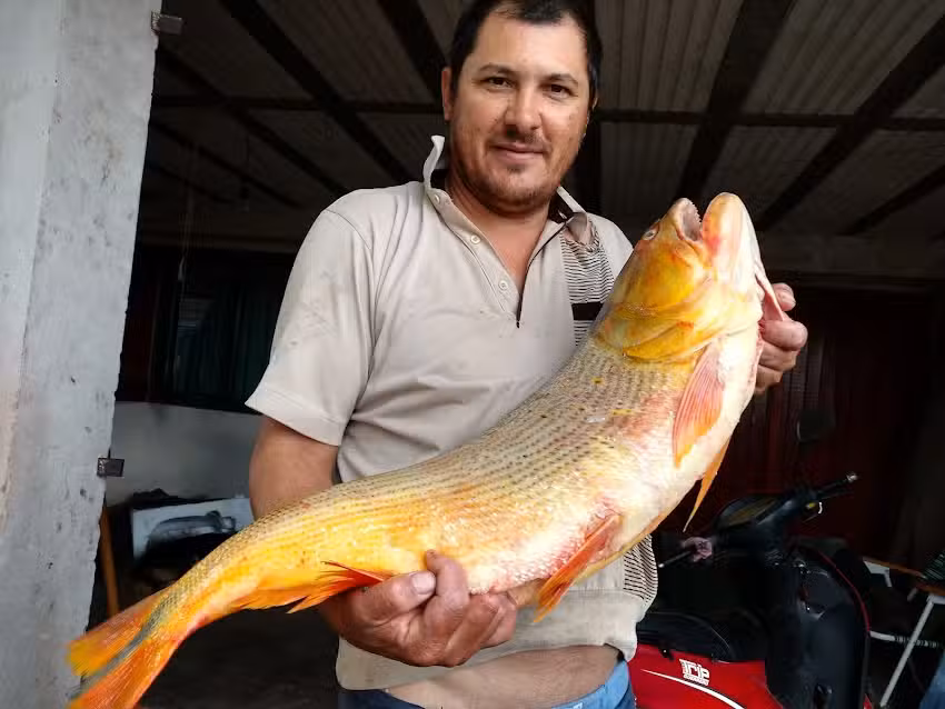 pescaderia martin m pescador