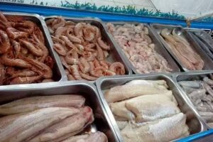 Pescaderia Orcas del Sur