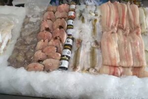 Pescader&iacute;a Pac&iacute;fico