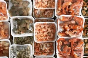 Pescaderia Portofino